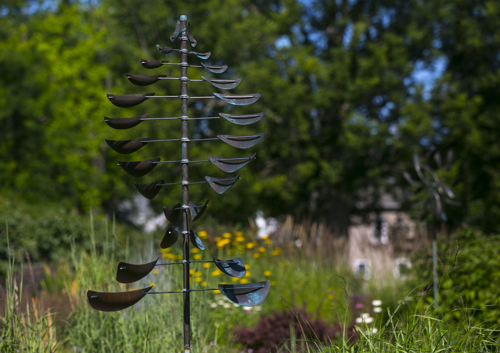 Garden 11